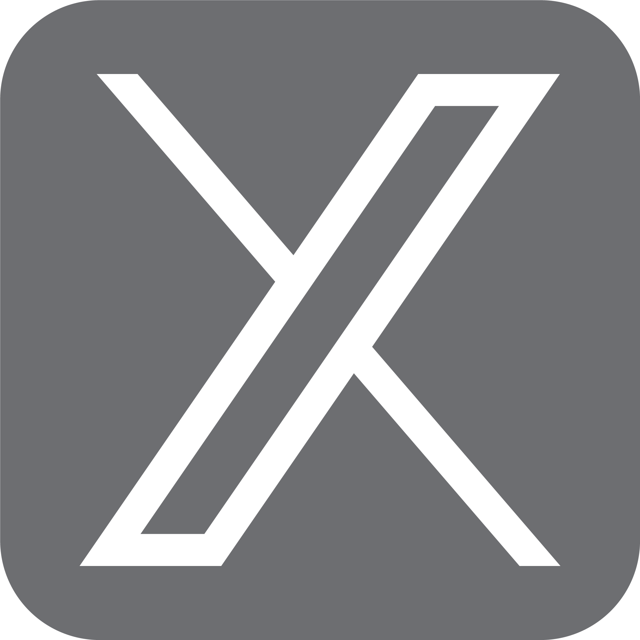 x icon